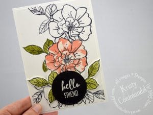 A Wild Rose - Hello Friend